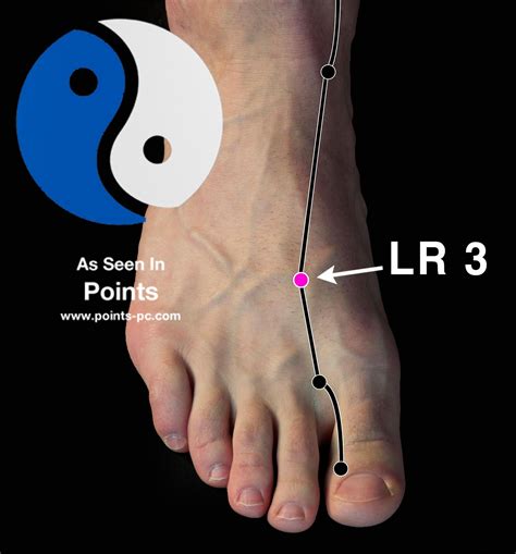 lr 3 acupuncture point location